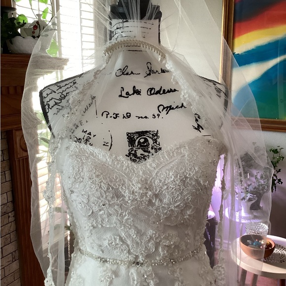 - Jasmine Haute Couture Wedding Gown Dress, sz 8, Silk, Lace, Embroidered … - Picture 2 of 16